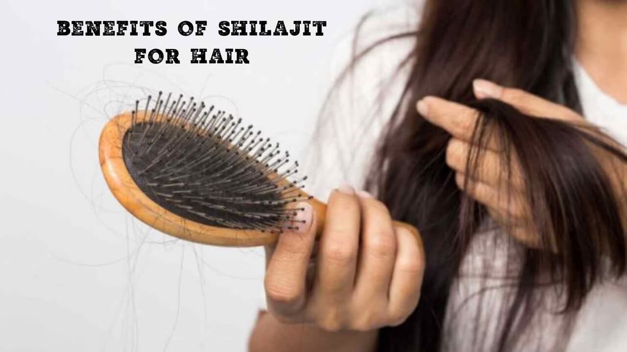 shilajit for hair loss