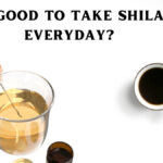 can we take shilajit everyday