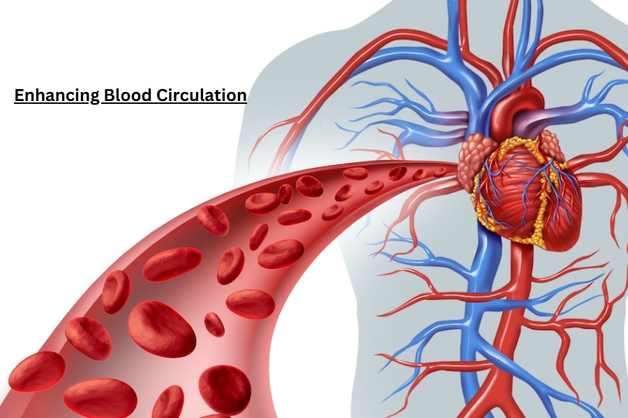 Shilajit Enhancing Blood Circulation