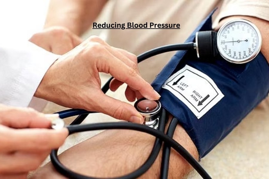 Shilajit Reducing Blood Pressure