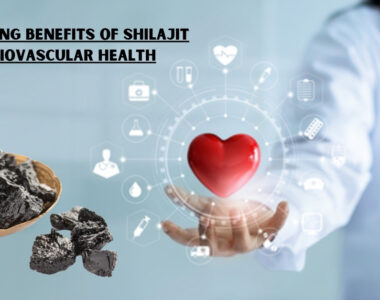 Benefits Of Shilajit For Cardiovascular Health